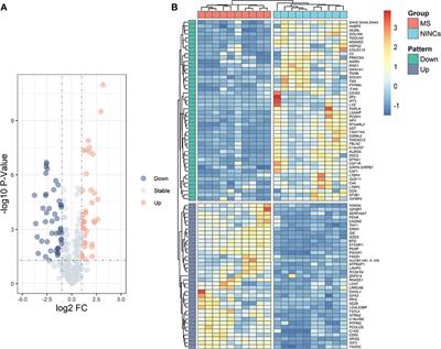 Discovery of Novel Biomarkers for Diagnosing and Predicting the Progression of Multiple Sclerosis Using <mark class="highlighted">TMT-Based Quantitative Proteomics</mark>